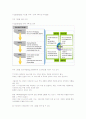 IT Governance 구축 6페이지