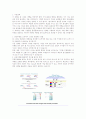 지연전략(Postponement)과 대량고객화 (mass customization) 1페이지