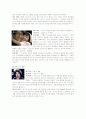 소구기법을 사용한 매스미디어 광고(TV광고 분석) 2페이지