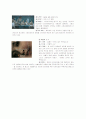 소구기법을 사용한 매스미디어 광고(TV광고 분석) 3페이지