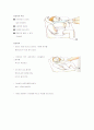 유아기 근육경련(쥐가날때)응급처치법 단계별,유아의 호흡정지발작  5페이지