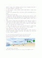 4대강사업 수질 5페이지