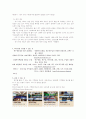 레저스포츠 탁구 6페이지