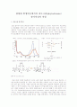 광형태 발생반응에서의 피토크롬(phytochrome) 광가역성과 역할 1페이지