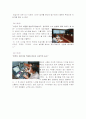 디지털 포렌 3페이지