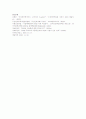 무선인터넷의 향후 대체 서비스의 기술적 특성에 대한 나의 의견 4페이지
