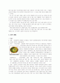 암의 원인 및 종류와 치료방법 7페이지