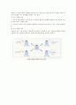 샴푸의 원리와 종류, 주의사항 , 목적, 조건 6페이지