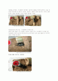 동식물관찰일기 3페이지