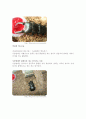 동식물관찰일기 4페이지