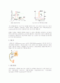 신경원에 대한 설명 3페이지
