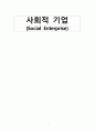 사회서비스 영역에서의 사회적 기업의 역할과 과제 1페이지