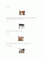 항아리 제작 과정 3페이지