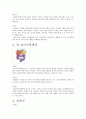 소화기계에 자주 발병하는 질병의 원인 및 치료법 2페이지