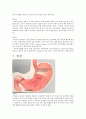 소화기계에 자주 발병하는 질병의 원인 및 치료법 4페이지