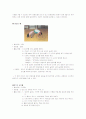 실외놀이 관찰계획서 2페이지