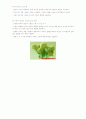 로웬펠드(Lowenfeld)의 아동발달 단계에 의한 아동그림 5페이지