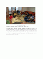 장애인의 사회통합을 위한 물리적 장치들을 학생(장애학생)의 모습과 함께 찍어 설명  2페이지