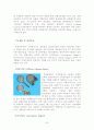 중소기업경영론(중소기업의 경영환경 사례) 43페이지