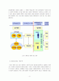 환경정책사례연구 13페이지