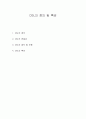 ★DSL의 정의 및 특성★ 1페이지