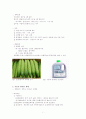 친환경 농업 - 토지조성 사례와 그 효과에 대해 기술 5페이지