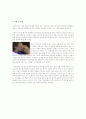 유익한 측면의 광고와 부정적인 측면의 광고를 각각 선정하여 그 이유를 기술 4페이지