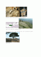 Great altar of Zeus(제우스 대제단)페르가몬 박물관에 있는 제우스 대제단에 관해  3페이지