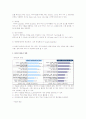  소셜네트워크서비스(SNS: 트위터, 페이스북 등)와 소셜미디어 활성화에 따른 기업의 온라인 마케팅전략  2페이지