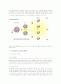 원자력발전의 원리와 구조, 문제점과 대책방안 등을 정확하게 이해하고 원자력발전소에 대한 본인의 생각을 서술 2페이지