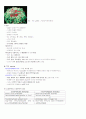   우리가 아픈 이유  8페이지