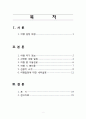 문화관광론 - 자동차 관광 2페이지