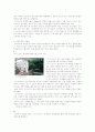 이니스프리(innisfree) 브랜드분석과 마케팅전략분석및 새로운마케팅전략제안 - SWOT, STP, 4P 32페이지