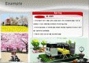 기아(Kia)자동차 [레이(Ray)] 경영 전략 마케팅 분석 16페이지
