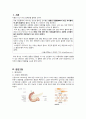 IBD Case study (염증성 장질환 케이스 스터디)  3페이지