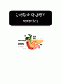 담석증, 담낭염의 병태생리  1페이지