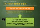 교과론_과정중심이론의허점과_보완 10페이지