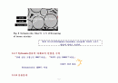 복합재료(Sylramic Fiber) 조사 5페이지