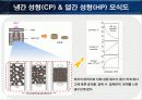 분말성형체 발표 7페이지