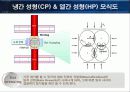 분말성형체 발표 8페이지