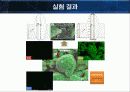 분말성형체 발표 10페이지