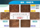 원심주조된 비철금속인 Sn의 기계적 성질에 미치는 금형회전수의 영향 13페이지