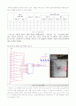 결과보고서  실험 8. RAM (Random Access Memory) 2페이지