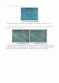 결과보고서  실험 9. DA & AD Converter(DAC & ADC) 3페이지