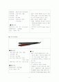 생산관리 자재소요계획 5페이지