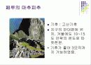 세계 문화 유산 5페이지