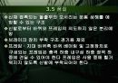 인라인스케이트에 적용된 KS 규격 KS G 5754 19페이지