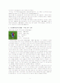[세계문화의 이해] 스페인 축구문화 - 스페인 & 스페인의 또 다른 열정, 프로축구문화 8페이지