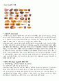 [영양학] 패스트푸드(Fast Food)와 슬로우푸드(Slow Food) 차이점 3페이지