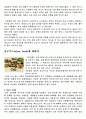 [영양학] 패스트푸드(Fast Food)와 슬로우푸드(Slow Food) 차이점 7페이지